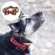 thumbnail image 3 of Collar de perro navideño con lazo, collar ajustable para mascotas con patrón de copo de nieve a cuadros clásico, 3 of 5