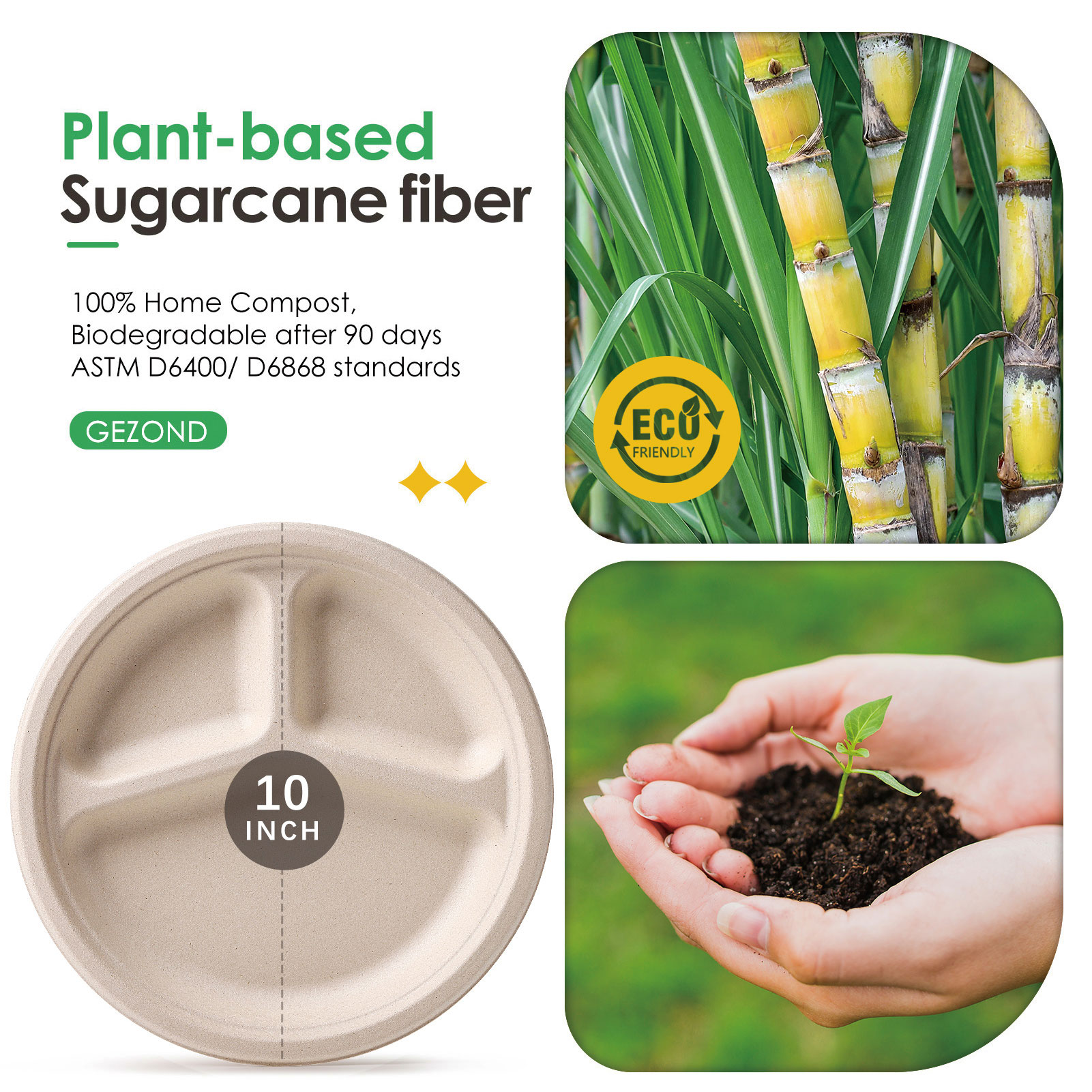 Compostable Paper Plates 10 Inch Heavy-Duty Plates 125 Pack Disposable Divided Plates Eco-Friendly Recycled Plates Compartment, Made of Natural Sugarcane Fibers