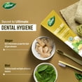 thumbnail image 2 of Pasta dental Dabur jengibre y menta orgánica 125 ml libre de parabenos, 2 of 7