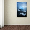 thumbnail image 3 of Trademark Fine Art 'Ice Traveler' Canvas Art by Philippe Sainte-Laudy, 3 of 3