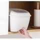 thumbnail image 5 of Dispensador de cereales de 10 l, cajas organizadoras secas con tapa, cubo para arroz integral Gris, 5 of 6