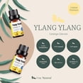 thumbnail image 4 of Aceites Esenciales Ylang Ylang Natural UVa Natural Conjunto de Difusores y Humidificadores 10 ML con, 4 of 6