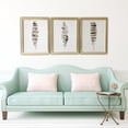 thumbnail image 5 of Set of Three Three Neutral Brown Feathers Framed Wall Art Set, 5 of 5