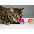 thumbnail image 5 of Hartz Just for Cats Bizzy Balls Cat Toy, 1ct, 5 of 5