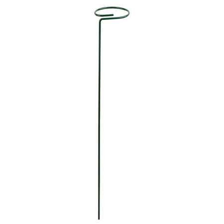 

JPGIF Decor Support Stakes Garden Single Flower Stem Amarylliss Cage For Orchid Lily Peony Rose Dark Green