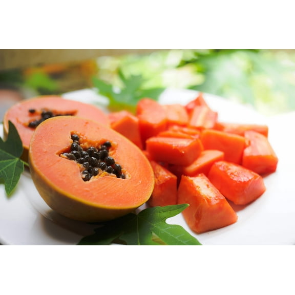 30 Seeds PAPAYA MELON Fruit TREE Carica Papaya Seeds