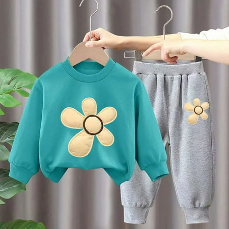 

Geire Boys Girls Casual Outfits 2PC Set Spring Fall New Flower Printed Velvet Sweatershirt Long-sleeved Hoodless Top & Elastic Waist Jogger Pants Two-piece Set