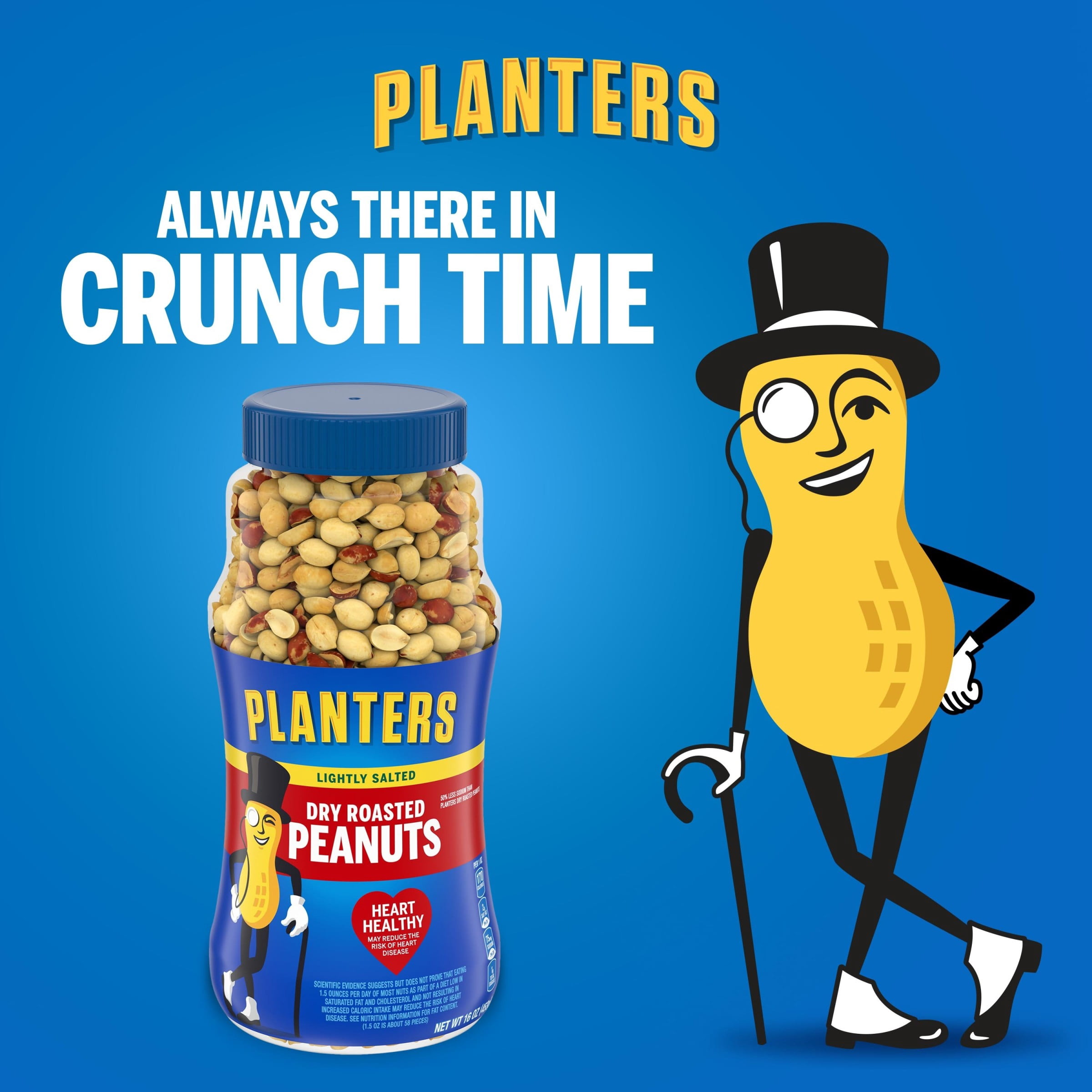 PLANTERS Lightly Salted Dry Roasted Peanuts, Party Snacks, Plant Based Protein, 16 oz Jar