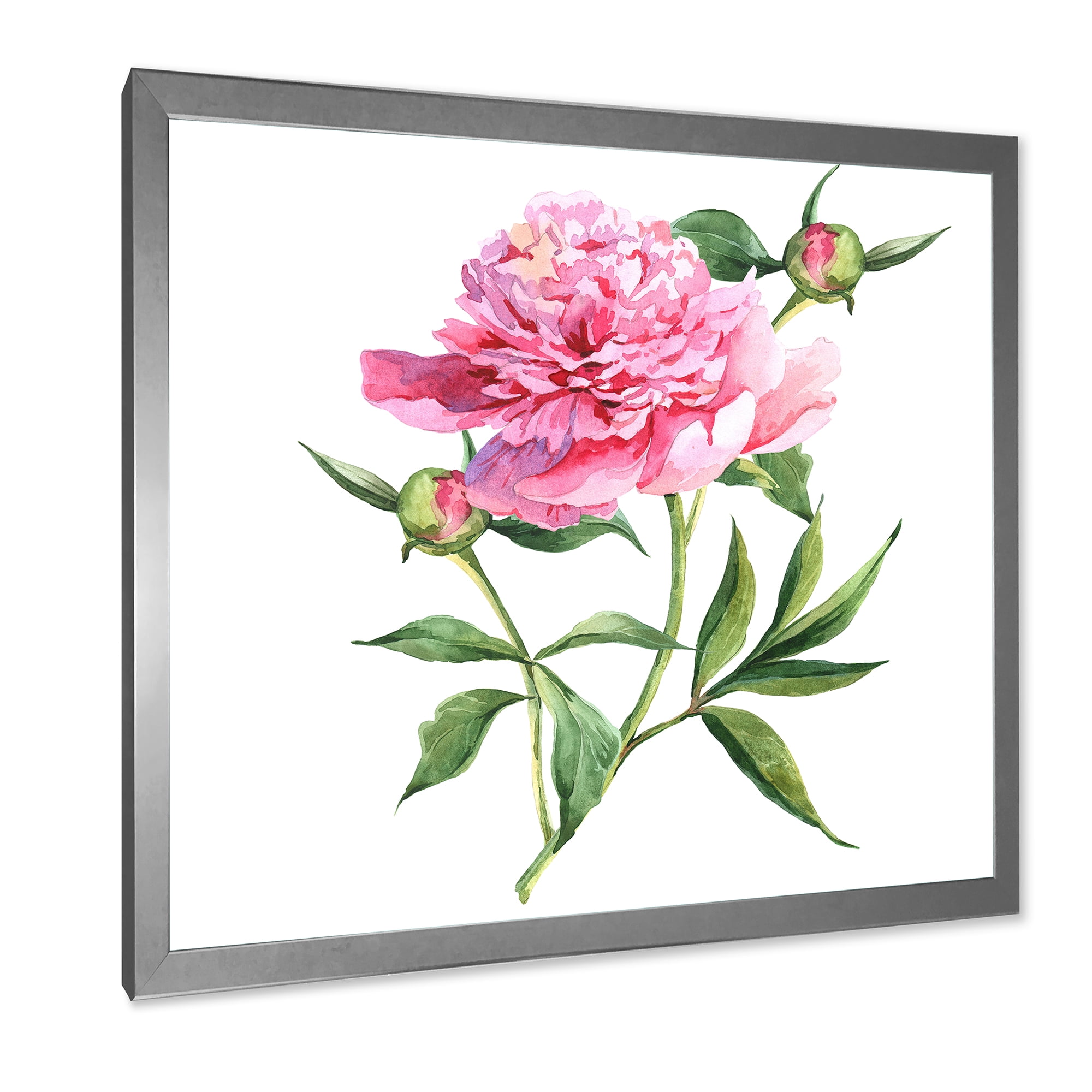 Designart 'Ancient Pink Peonies' Traditional Framed Art Print
