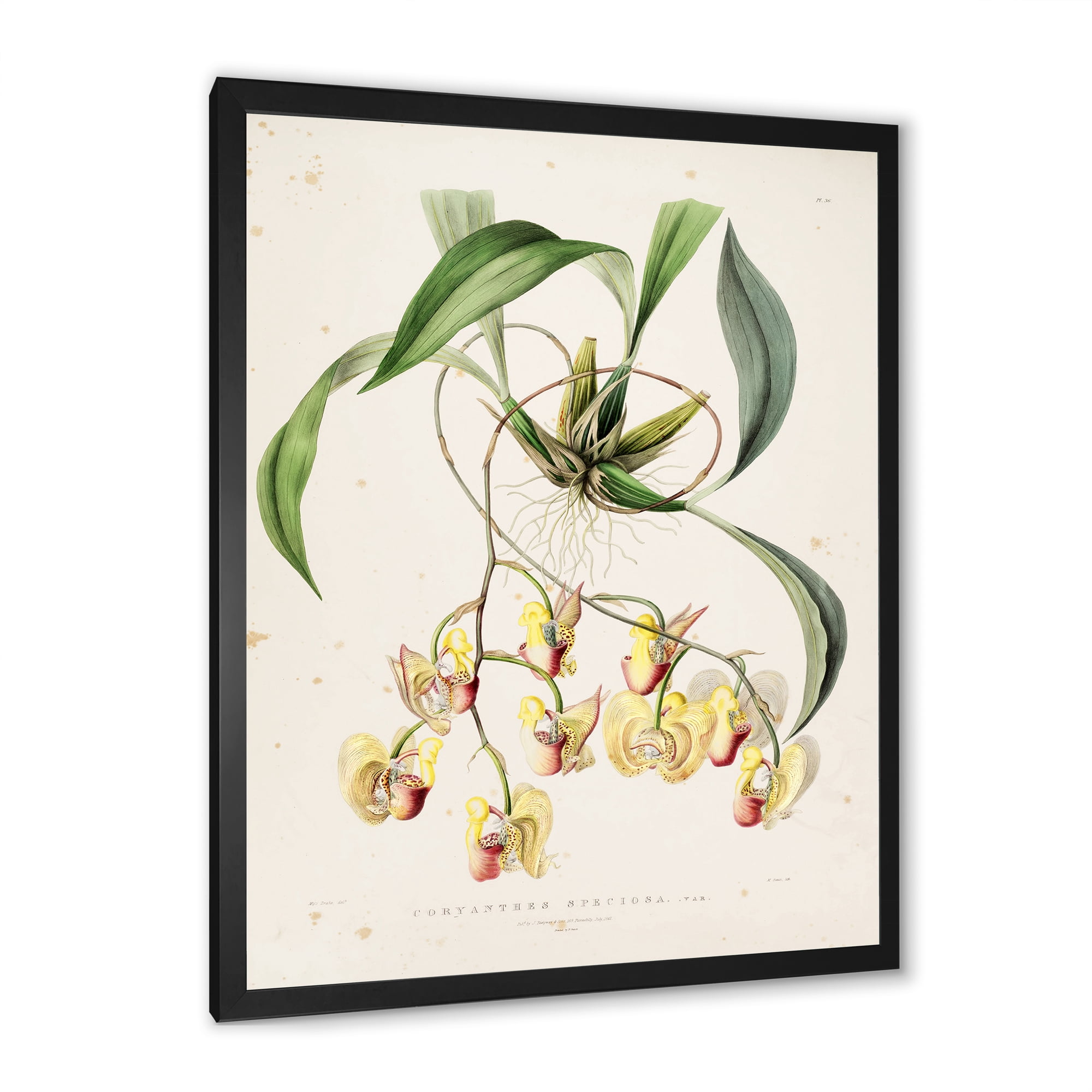 Designart 'Blossoming Vintage Flower I' Traditional Framed Art Print