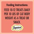 thumbnail image 3 of Temptations Meaty Bites Salmon Adult Cat Treats, 3 of 8