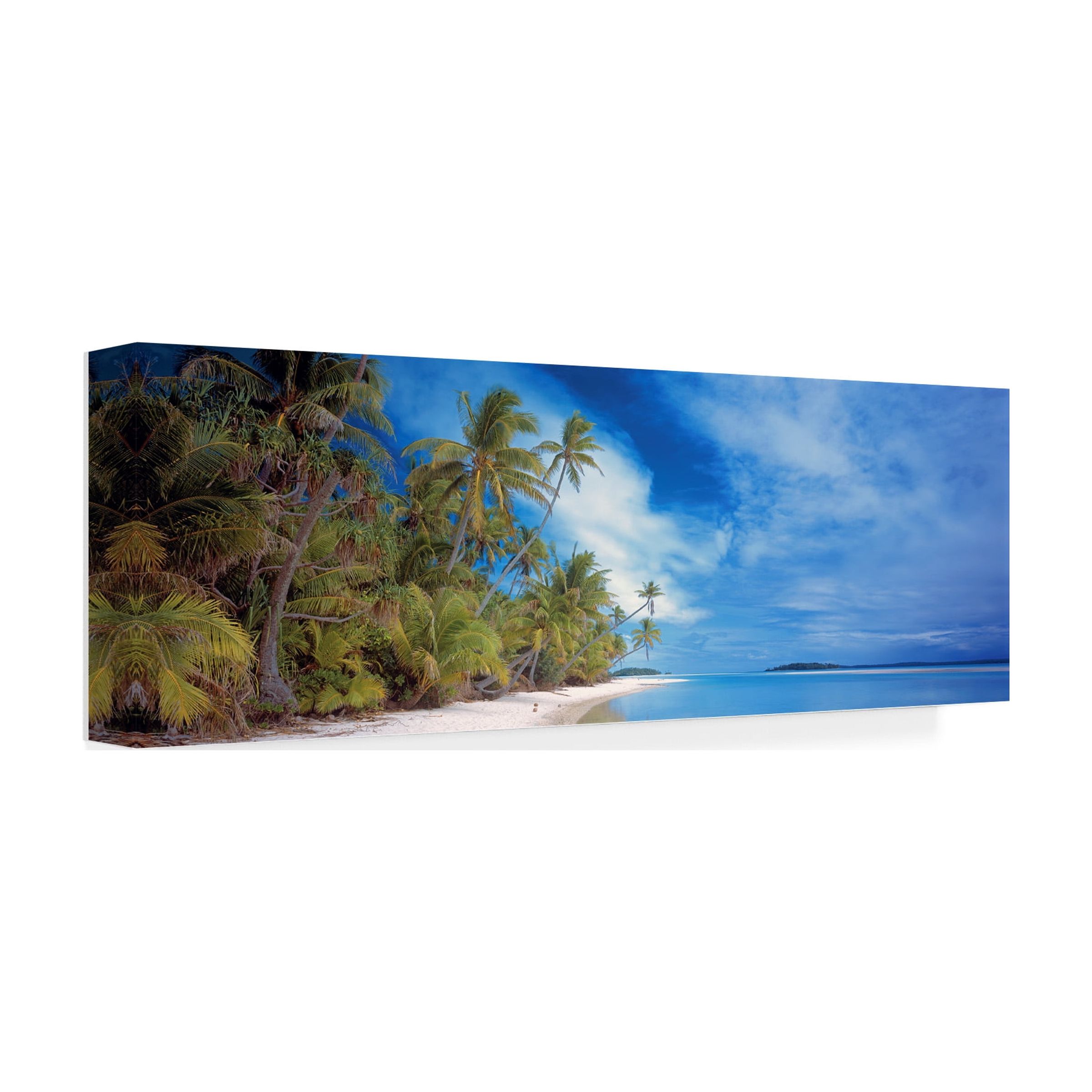 Trademark Fine Art 'Palm Landscape' Canvas Art by Doug Cavanah