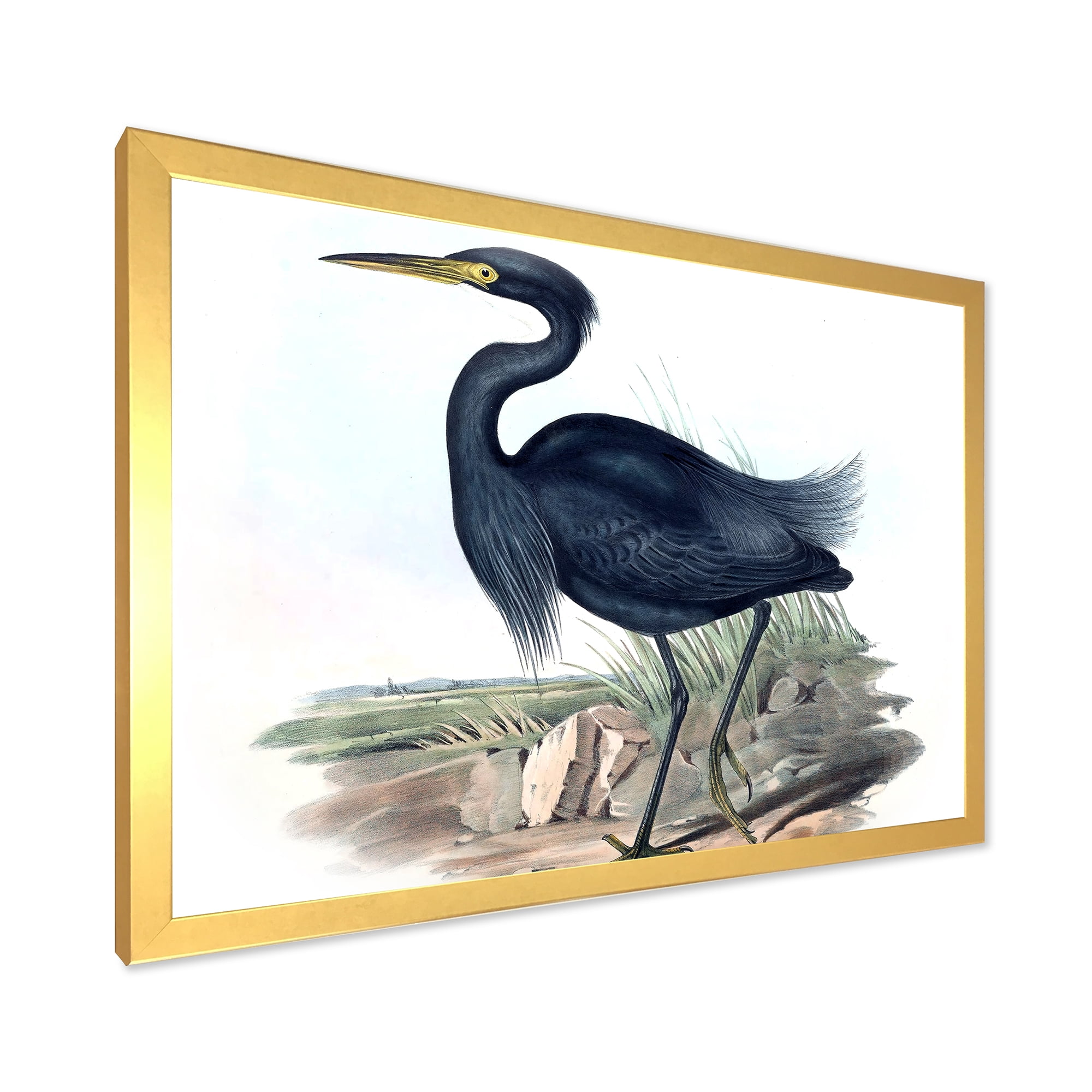 Designart 'Ancient Australian Birds III' Traditional Framed Art Print