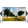 thumbnail image 1 of Telón de fondo ABPHQTO, 150x220cm, campo, tela de poliéster, lavable a máquina, 1 of 2