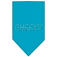 thumbnail image 4 of Pet and Dog Bandana Rhinestone, "Cheeky", 4 of 10