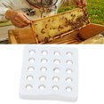 thumbnail image 3 of Molde de copa de célula de abeja molde de copa de cera de abejas de silicona científico para la cría de abejas para la industria para la apicultura, 3 of 8