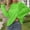 Green, variant on Women's Oversized Mesh Knit Sweater Top Y2K Summer Long Sleeve Hollow Out Beach Coverup Loose Fit Crochet Pullover