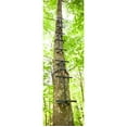 thumbnail image 3 of Guide Gear Quick Climbing Sticks, 3 Pack, 3 of 4
