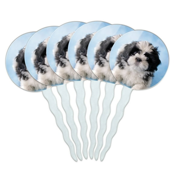 Shih Tzu Dog Black White on Blue Cupcake Picks Toppers Decoration Set of 6