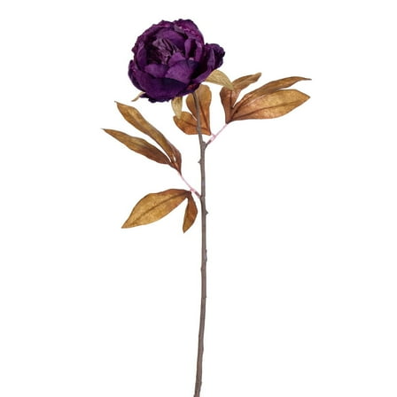 21" Dark Purple Peony Stem 6/Bag