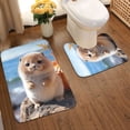 thumbnail image 2 of Yiaed Cute Guinea Pig Sea Print Bathroom Mat Set 2 Pieces Mat Anti-Skid Pad Ultra Soft and Absorbent Bathroom Bath Mat Contour Bath Rugs for Toilet Base, 2 of 6