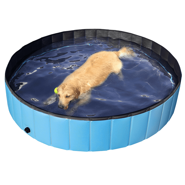 puppy swimming pool
