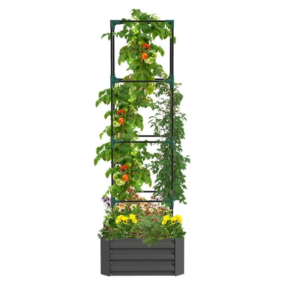 Outsunny Galvanized Raised Garden Bed, 24" x 24" x 11.75" Outdoor Planter Box with Trellis Tomato Cage and Open Bottom for Climbing Vines, Vegetables, Flowers in Backyard, Garden, Patio, Gray