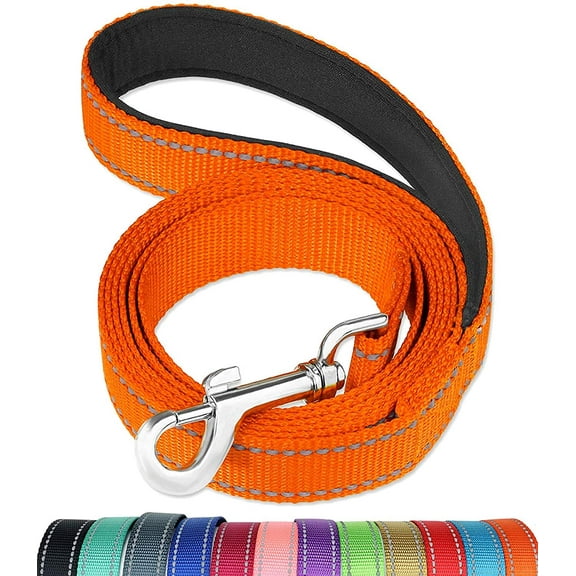 4FT Reflective Dog Leash with Soft Padded Handle for Training,Walking Lead for Medium & Small Dogs,3/4 Inch Wide,Orange