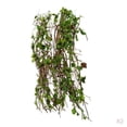 thumbnail image 1 of STARTIST 2pcs Miniatures Vine Plant Set for 1:35 1:28 Wargame Building Dollhouse Decor, 1 of 7