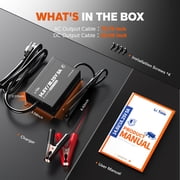 Litime 12V 16V 5A Mountable Lithium Battery Charger, IP65 Waterproof, 14.6V & 18.25V LiFePO4 Smart Charger with Adjustable Voltage, LED Indicator, Smart 3-Stage Charging & BMS Activation
