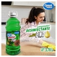 thumbnail image 5 of Limpiador desinfectante Great Value con aceite de pino 3.78 L, 5 of 5
