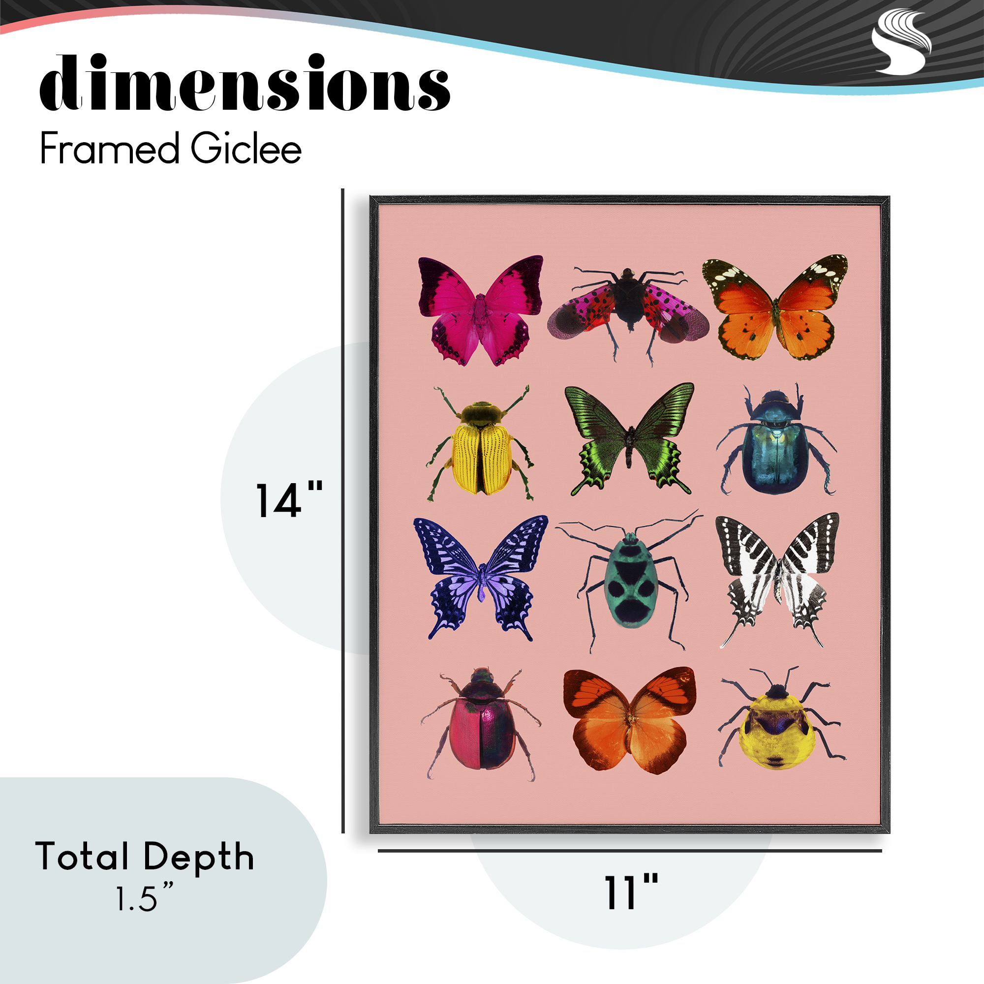 Colorful Bug Species on Pink Black Framed Giclee Art, design by LISH Creative