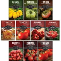 10 Varieties Tomato Seeds - Colorful Heirloom Tomatoes for Planting - Full Sun Annual Vegetable