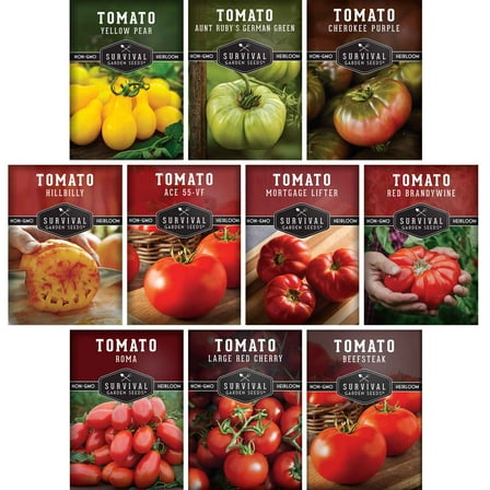10 Varieties Tomato Seeds - Colorful Heirloom Tomatoes for Planting - Full Sun Annual Vegetable