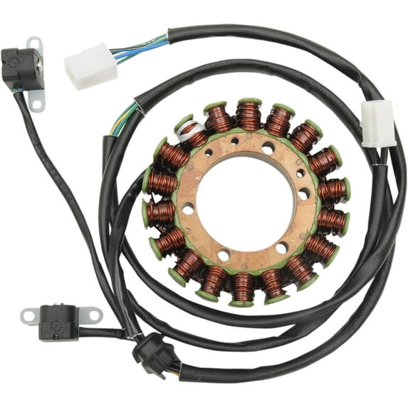 RICK'S MOTORSPORT ELECTRIC Stator 21-337