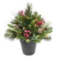 thumbnail image 3 of Celebrations 1-1/2 ft. Icy Mixed Pine Urn Filler 1 pk, 3 of 3