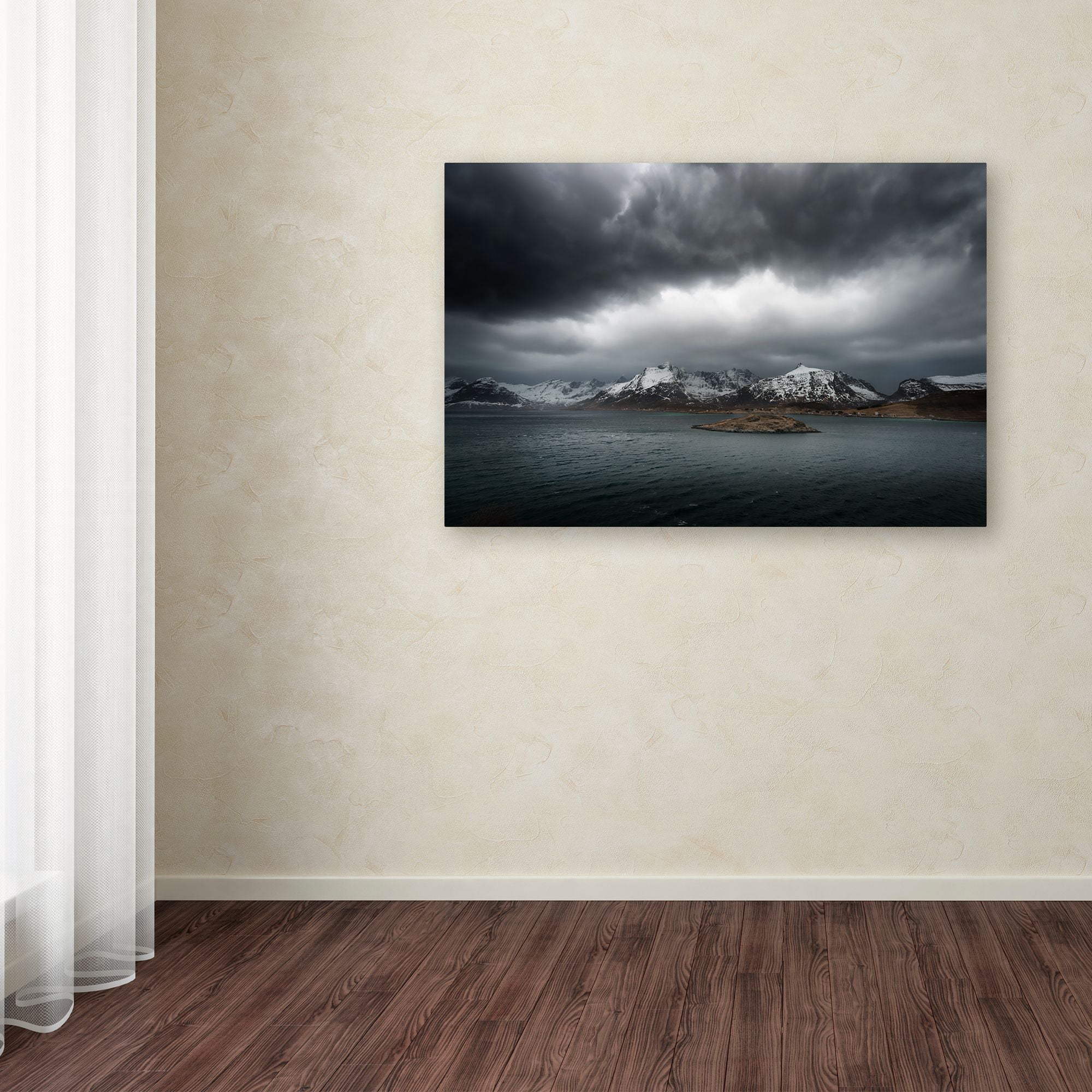 Trademark Fine Art "Grey" Canvas Art by Philippe Sainte-Laudy