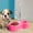 Pink, variant on Hauiodp Double Cats Dogs Bowls, Automatic Water & Food Feeder, Pet Automatic Water Feeder with Water Bottle, Whisker-Friendly Elevated Dishes for Small Cats & Puppies