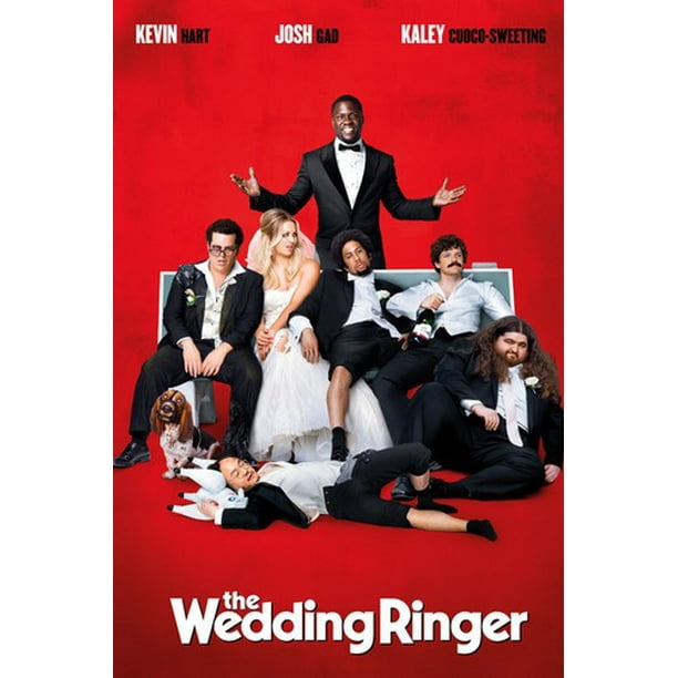 afdrijven zone Accommodatie The Wedding Ringer (DVD) - Walmart.com