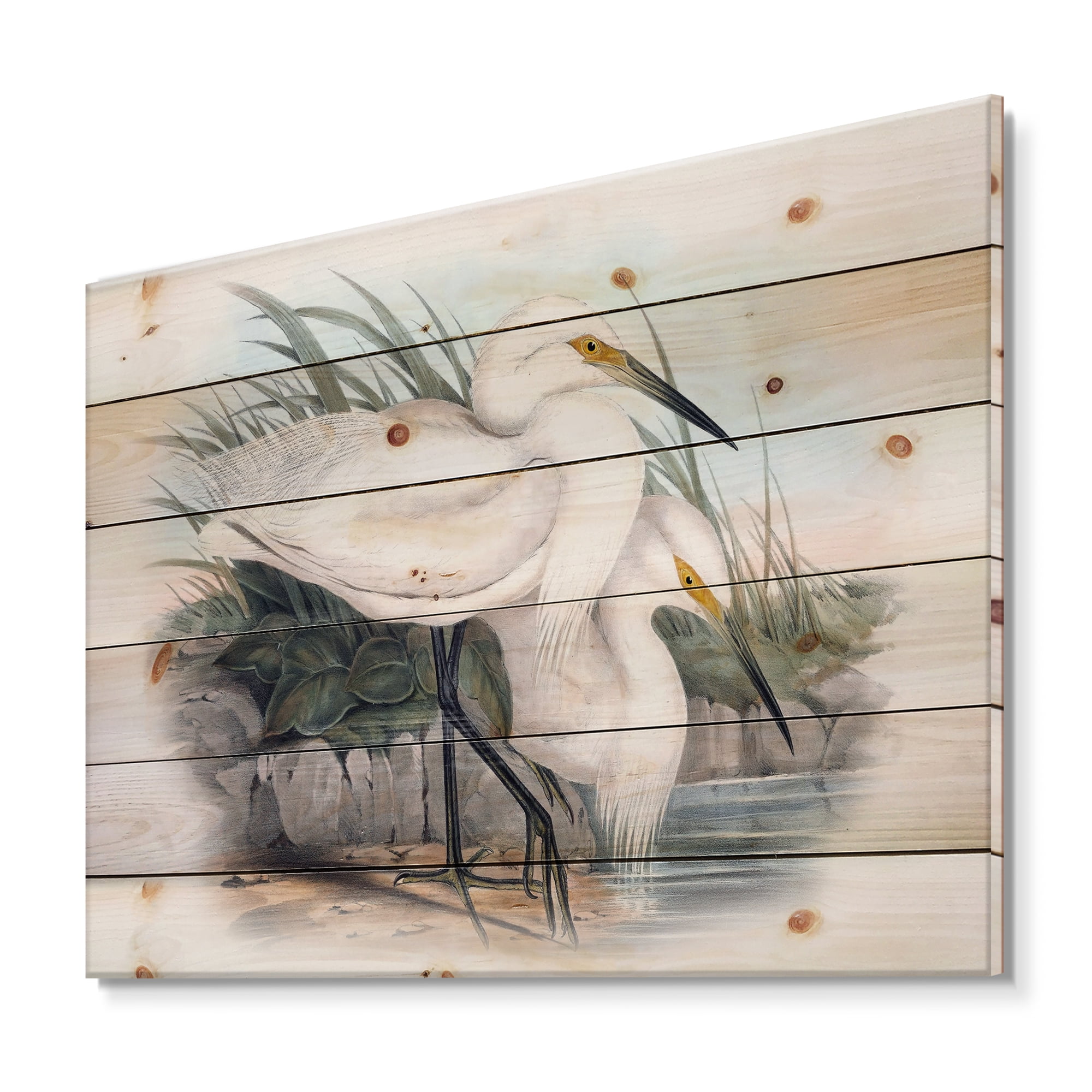 Designart 'Ancient Bird Life I' Traditional Print on Natural Pine Wood