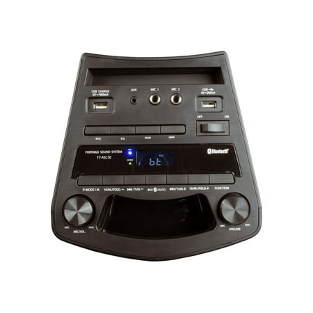 Toshiba - Powered Wireless Speaker (Each) - Black