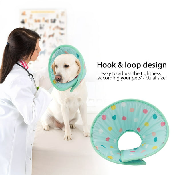 in Hand Adjustable Pet Recovery Collar Comfy Cat Cone Soft Edge Plastic Dog  Cone Anti-Bite Lick Wound Healing Safety Practical Protective E-Collar -  China Pet Supplies and Pet Accessories price