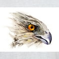thumbnail image 3 of CafePress - Cooper Hawk Face Light T Shirt - Light T-Shirt - CP, 3 of 4