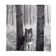 thumbnail image 1 of Juego de 2 paneles de cortinas con temática de animales para adolescentes, 33 de ancho x 79 de largo pulgadas (total), anillos y Lobo gris, 1 of 9