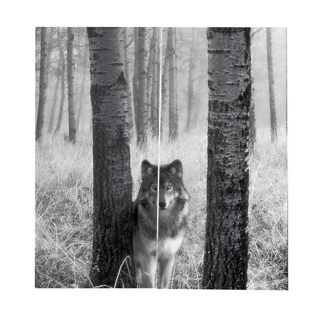 GUOOL Ensemble de 2 Panneaux Décoration Animale pour Adolescent Rideaux Occultants Imprimés 3D Loup Gris