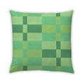 thumbnail image 1 of Ahgly Company Indoor Square Contemporary Throw Pillow, 18 inch by 18 inch, 1 of 5