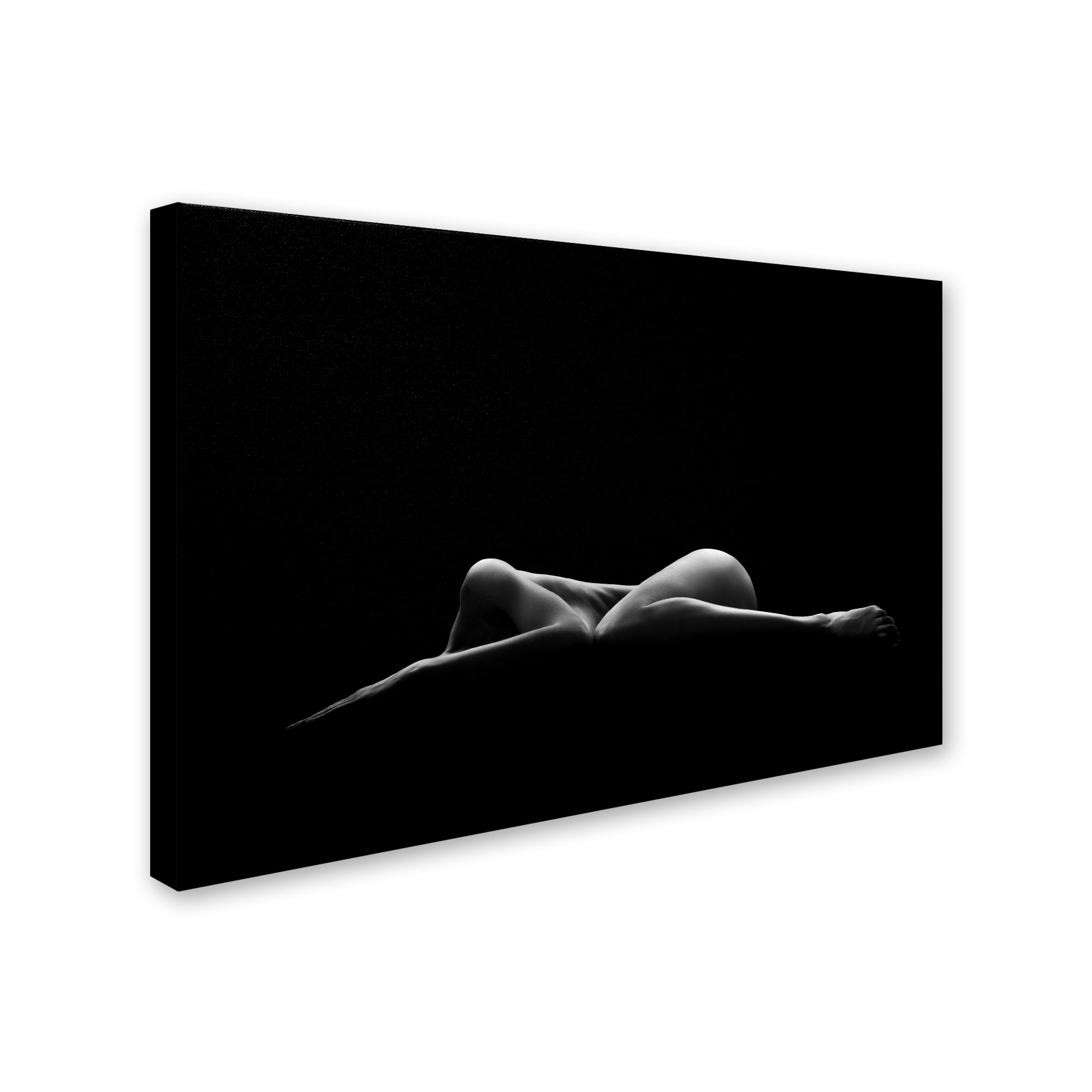 Leon Schr�der 'Bodyscape' Canvas Art