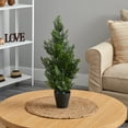 thumbnail image 3 of Nearly Natural 2' Mini Cedar Pine Artificial Tree (Indoor/Outdoor), Green, 3 of 4