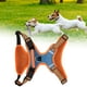 thumbnail image 4 of Chaleco Para Perros Arnés Pet Jewel Azul Malla Transpirable Ajustable, 4 of 7