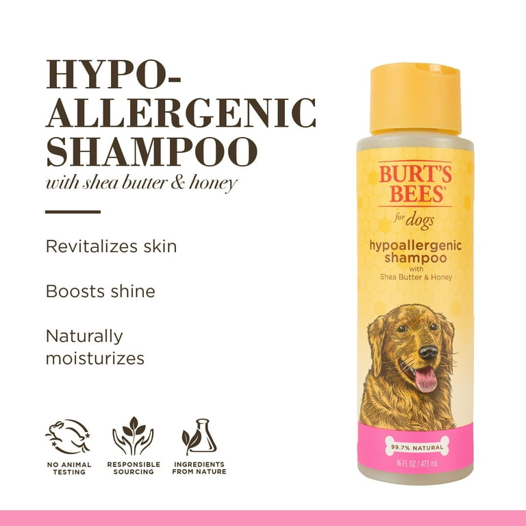 Allergy free 2024 dog shampoo